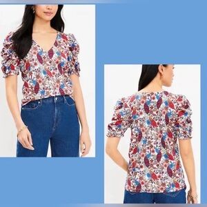 LOFT Peacock Ruffle Cinched Sleeve V-Neck Top Sz XXL